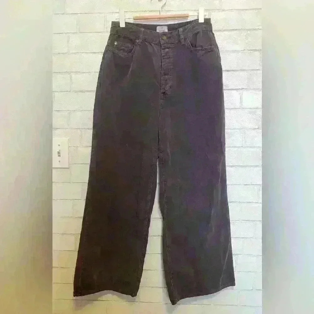 Sisstrevolution Violet corduroy wide leg button up pant size 27/6